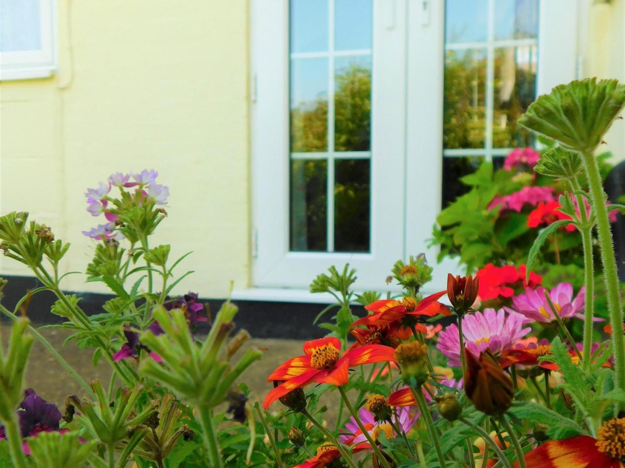 Greenbank Cottage Hilgay Zewnętrze zdjęcie
